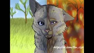 Коты Воители: Белка, Ежевика, Уголёк.