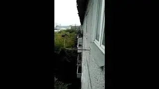 СИЛЬНЫЙ ПОЖАР В 2018 ГОДУ [КРАСНОЯРСК]