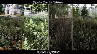 Skyrim SE - Mod: Kyne's Grass