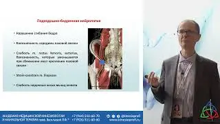 Arkov V. V., Manage Pain 2022 Pain syndromes of the lower limb