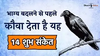 भाग्य बदलने से पहले कौवा देता है यह 14 शुभ संकेत | कौवे से जुड़े शुभ-अशुभ संकेत | #Dharmastra