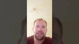Отзыв Ахсара Рыжова на двухмесячное наставничество Артема Светлицкого