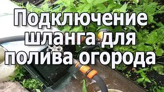 Полив огорода своими руками Где подключить шланг для полива огорода Полив огорода из скважины