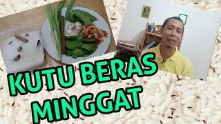 TIPS BERAS BEBAS DARI KUTU BERAS WANGI DAN PULEN