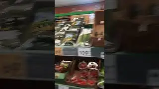 ПТИЦА В МАГАЗИНЕ #птицы