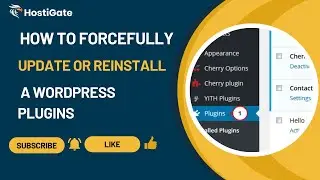 How to Forcefully Update or Reinstall a WordPress Plugin | HostiGate