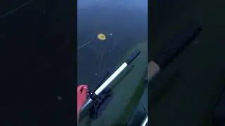 Shrimp fishing! Outdoor recreation 