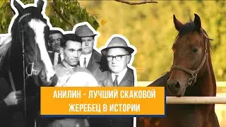 Фильм 