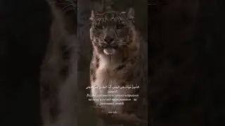 Будь достойным, сейчас этого не хватает .