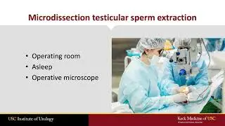 Microdissection Testicular Sperm Extraction (microTESE): What Every Patient Should Know