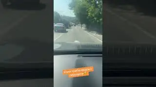 Коли треба трошки порушити ПДР