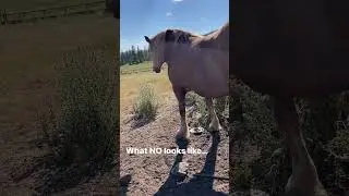 What NO Looks Like!