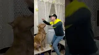 Когда узнал о новой функции😂