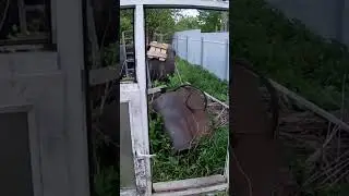 Строительство маленького домика в стиле tiny house из поддонов своими руками 