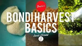 Bondi Harvest Kitchen Basics