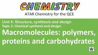 Macromolecules - a redirect video only...