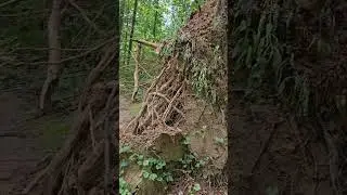 Massive Blowdown