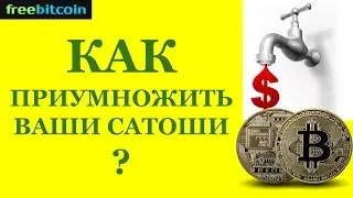 КАК ПРИУМНОЖИТЬ САТОШИ НА КРАНЕ