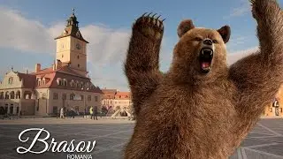 One Week in BRASOV, ROMANIA: Bike Rides, Bears and a Crazy Pigeon - EP. #14