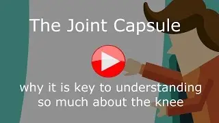 The Joint Capsule with narration