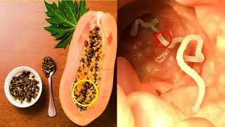 Eating Papaya Seed Benefits and Side Effects STOP Eating Papaya Seeds Without Knowing This One Thing