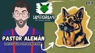 Pastor Alemán: Datos Sorprendentes y Curiosidades que No Sabías 🐕✨#perros  #viralvideo #mundoanimal