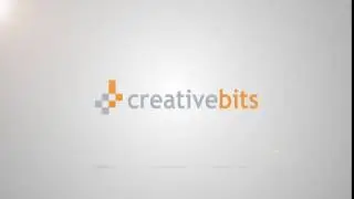 Clean & Professional Logo Animation 08