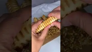 Заметили сколько стоила вафельница?😅 Рецепт вафель в комментариях 😉