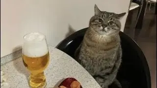 desisto sempre de tudo que eu começo