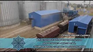 Серый импорт зерна. АФМ/ Костанайские новости
