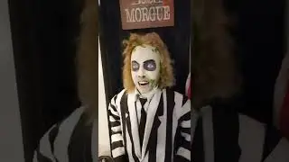 Welcome to my house 