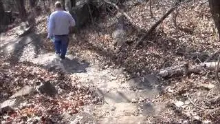 Tracking Sasquatch At Palisades