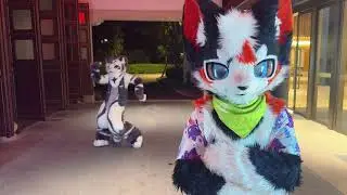 Stop, you furry up ahead...
