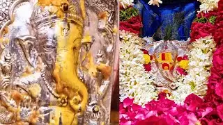 वैशाख मास संकष्टी चतुर्थी | अक्कलकोट श्री स्वयंभू गणेश महापूजा | आंब्याचा 🥭 अभिषेक