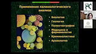 А.Н. Бабенко: Палинологический анализ и его применение в археологии