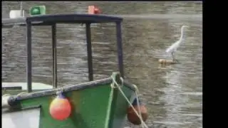 PONTA D'AREIA SEUS PESCADORES E SEUS BARCOS NITERÓI RIO DE JANEIRO