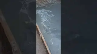 10 сентября 2024 г.