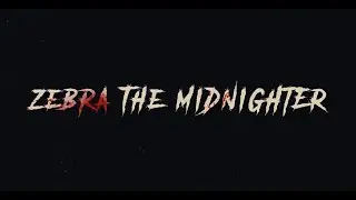 zebra the midnighter 2