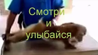 Смотри и улыбайся