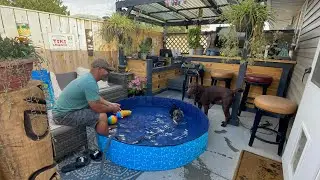 COSTCO’S PORTABLE PET POOL | lhydhia’s vlogs