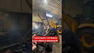 ЗАВОДИ, КОЛЯ! Своими руками собрали машину для обрезки деревьев