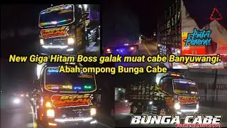 New Giga Hitam Boss Galak.truk baru perdana muat cabe Banyuwangi‼️