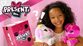 Unboxing the new PRESENT PETS! – How To Play