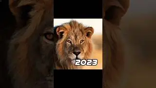 2023 lion 🦁 vs 5000 bce lion 💥 #viral #shorts