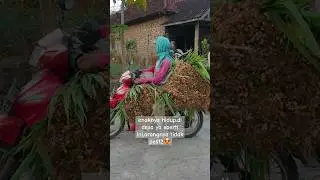 enaknya hidup di desa