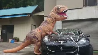 Ferrari Sexy car wash by T-rex