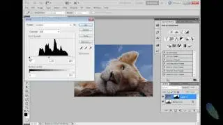Photoshop - Selection