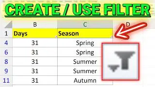 How to Create/Use Filter in Excel