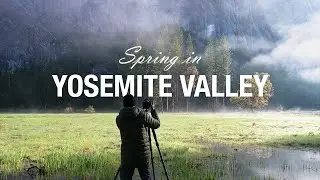 Spring in Yosemite Valley