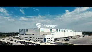 Lineage: The New Standard